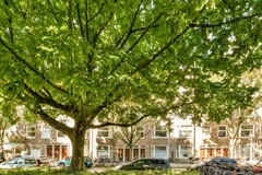 Curaçaostraat 101 - 3.jpg